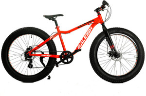 Raleigh big 2025 sam cycle