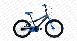 Raleigh 20 inch mountain bike 2025