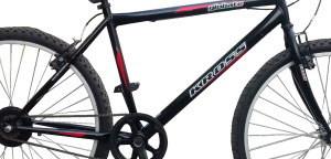 kross globate 1.0