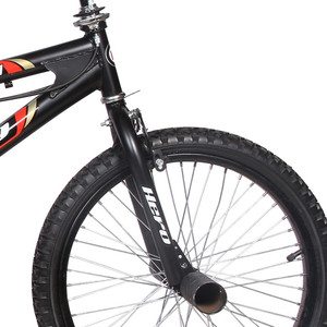 Hero Roter Single Speed 20T BMX Cycle 