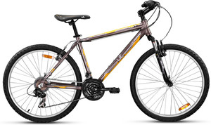 19.5 inch sales bike frame size