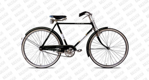 Rally cycle old discount