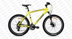 Raleigh cycles hot sale flipkart