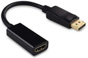 ROQ Display Port Male to Female HDMI Cable