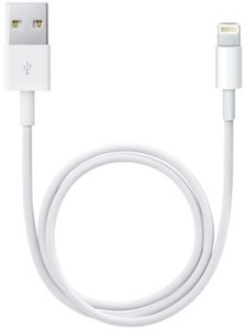 Apple Lightning to USB cable (0.5 m) Lightning Cable