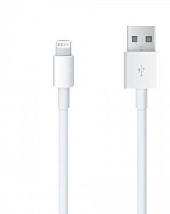 Apple MD818ZM/A Lightning to USB Cable (1m) Lightning Cable