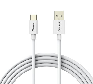 iVoltaa Link Type-C to USB-A 3.3 Ft/1 M USB C Type Cable