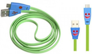 ARI 2017 USB Cable