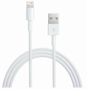 SHOPCRAZE Apple iPhone Charger For 5, 5c, 5S, 6 , 7, iPad Mini, iPod Touch 5G, new iPad and iPad Air,1 Meter USB 2.0 Data Sync Cable USB Cable (White) USB Cable