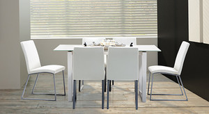 Urban Ladder Delphine Metal Dining Chair