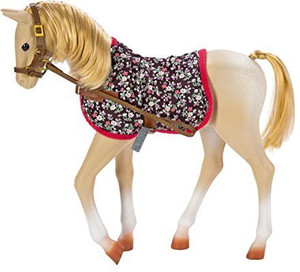 our generation palomino