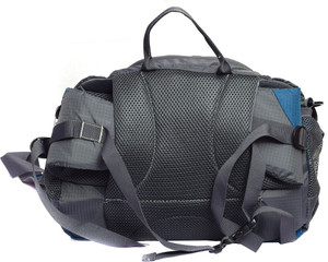 wildcraft bum bag