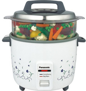 Panasonic electric outlet steamer