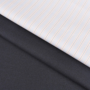 Raymond Cotton Striped Solid Shirt 