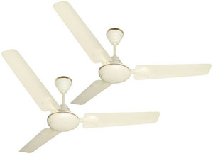 Black Cat Primo Iv 2 3 Blade Ceiling Fan Ivory Best Price In India