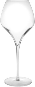 Luigi Bormioli Glass Set