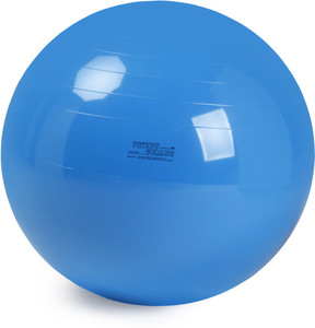 Gymnic 0410-007 95 cm Gym Ball