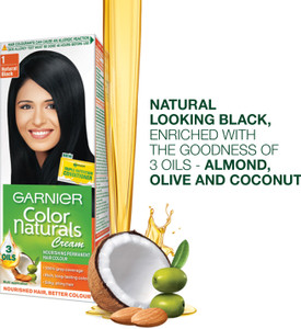 Garnier Color Naturals Regular Shade 1 Hair Color 1 Natural Black