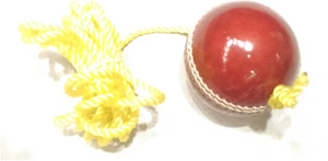 Whimsical Sports Stroke Cricket Ball - Size: Standard