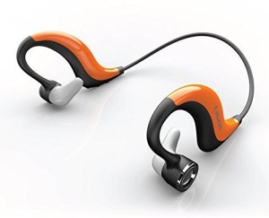 Liger Liger Headset Wired & Wireless Bluetooth Headset With Mic