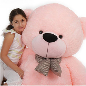 5 feet teddy bear at low price