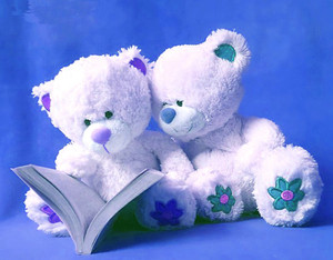 friendship teddy bear