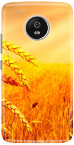 CareFone Back Cover for Motorola Moto G5 Plus