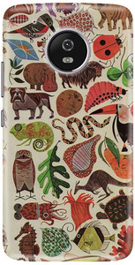CareFone Back Cover for Motorola Moto G5 Plus