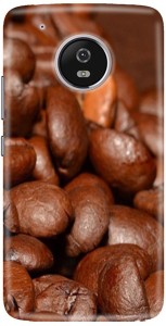 CareFone Back Cover for Motorola Moto G5 Plus
