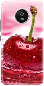 CareFone Back Cover for Motorola Moto G5 Plus