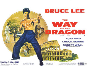 Bruce Lee Kung Fu Poster 24x36 inch rolled wall poster