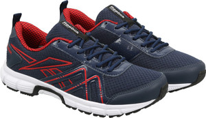 reebok ast walk lp