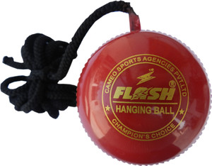 Flash HANGING Cricket Ball - Size: 5