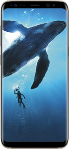 Samsung Galaxy S8 Plus (Maple Gold, 64 GB)