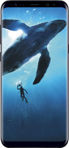 Samsung Galaxy S8 Plus (Midnight Black, 64 GB)
