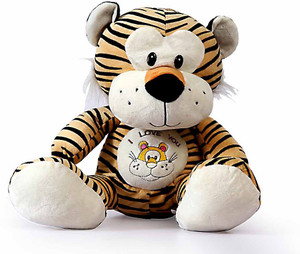 Dream shopping network sczysft064 - 12 inch