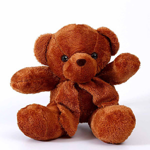 Dream shopping network sczysft034 - 12 inch