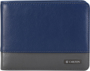 Carlton Men Blue Genuine Leather Wallet