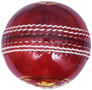 Sports Perfect (Single Knee Cap Free) Prince Leather Cricket Ball - Size: 7