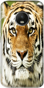 Flipkart SmartBuy Back Cover for Motorola Moto G5 Plus