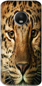 Flipkart SmartBuy Back Cover for Motorola Moto G5 Plus