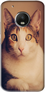Flipkart SmartBuy Back Cover for Motorola Moto G5 Plus