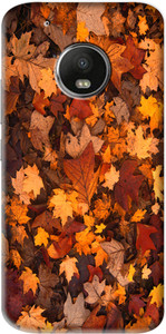 Flipkart SmartBuy Back Cover for Motorola Moto G5 Plus