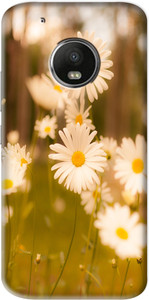 Flipkart SmartBuy Back Cover for Motorola Moto G5 Plus
