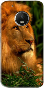 Flipkart SmartBuy Back Cover for Motorola Moto G5 Plus