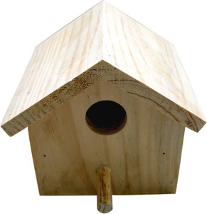 Birdhousebuilder Nb0017 House Sparrow Nest Box Bird House Hanging