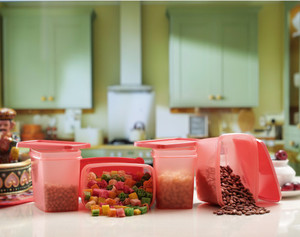 All Time Sleek - 850 ml Plastic Multi-purpose Storage Container