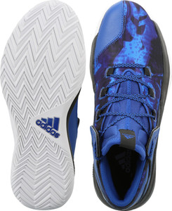 adidas rise up basketball