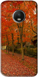 Flipkart SmartBuy Back Cover for Motorola Moto G5 Plus
