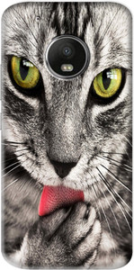 Flipkart SmartBuy Back Cover for Motorola Moto G5 Plus